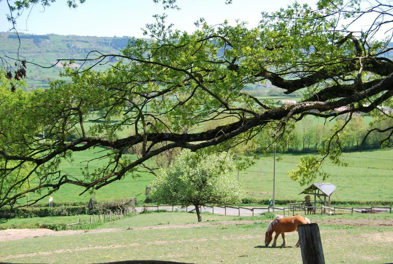 Village.insolite Montagny-sur-Grosne Esterno foto