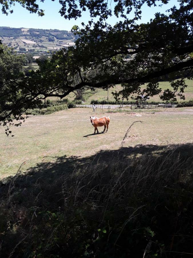 Village.insolite Montagny-sur-Grosne Esterno foto